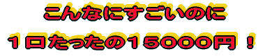 ����Ȃɂ������̂�  �P���������̂P�T�O�O�O�~�I 